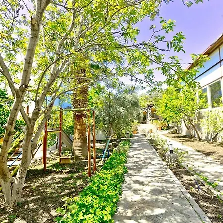 Patara Evleri Gelemis