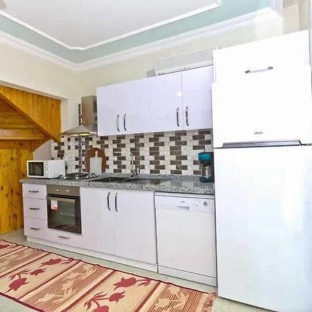 Patara Evleri Gelemiş