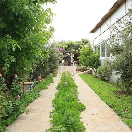 Patara Evleri 3* Gelemiş