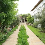 Patara Evleri 4* Gelemiş